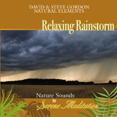 Relaxing Rainstorm: Nature Sounds for Serene Meditation