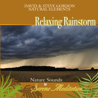 Relaxing Rainstorm: Nature Sounds for Serene Meditation by David & Steve Gordon Natural Elements